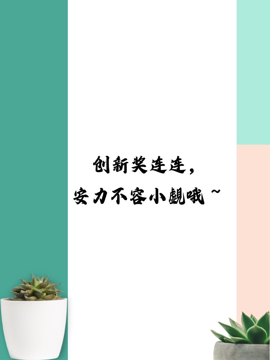 盛剑科技：获2025国际显示技术创新大奖多项荣誉