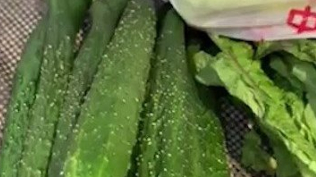【十元蔬菜包里加了黄瓜和辣椒】十元蔬菜包更新了!中百仓储十元蔬菜包A套餐包含了黄瓜、胡萝卜