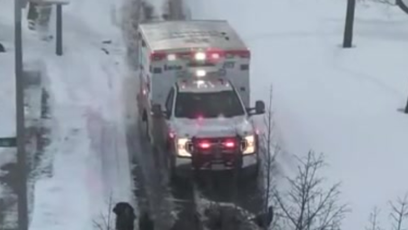 【美国一群野生火鸡在道路上挡住救护车去路 惹居民不满】据美国哥伦比亚广播公司(CBS)报道