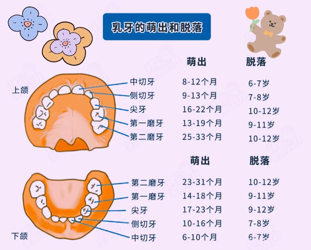对话仟源医药顾宝平：从抗生素大厂到OTC转型戒烟药是打破点-无穷打破极限Garmin佳明 fēnix 8万能户生手动腕表崭新亮相 ，东莞版权有“潮范儿”！“原创糊口·潮水东莞”版权宣扬直通车启动