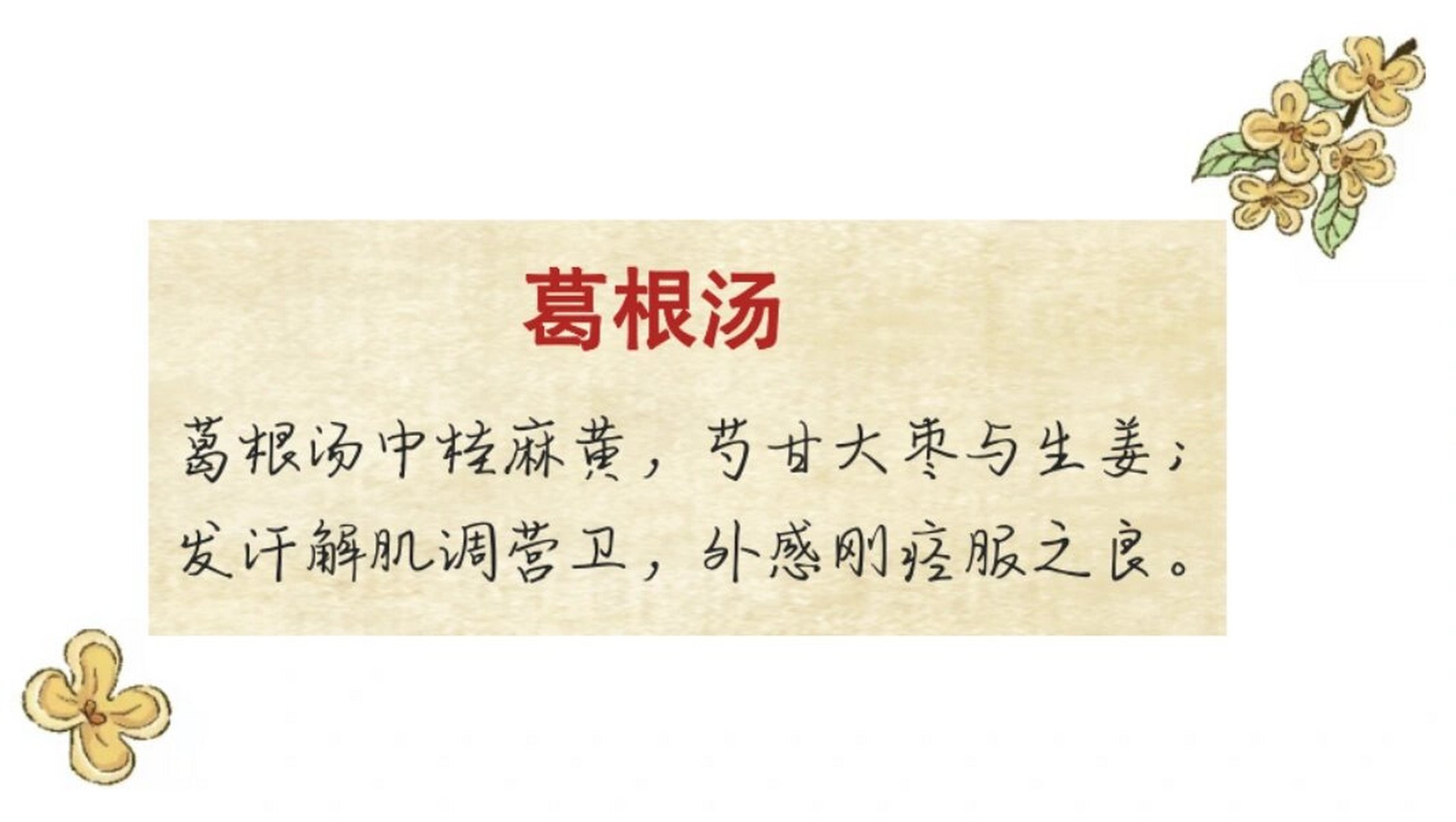 每日方剂 day 6|葛根汤 【来源】《伤寒论》(汉61张仲景) 【功用】