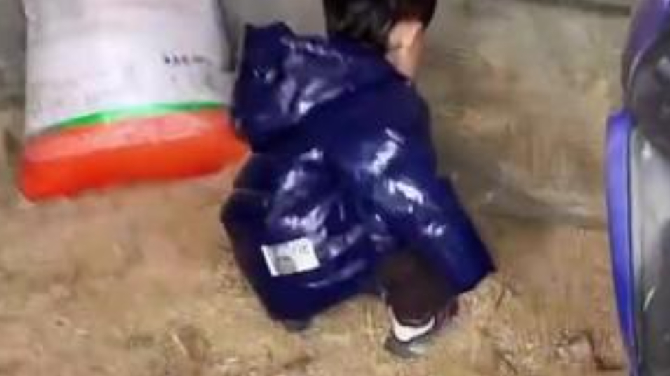 【#2岁萌娃偷拿鹅蛋被大鹅狂追#:我妈想吃鹅蛋】#大鹅为什么会被称农村一霸# 3月28日,