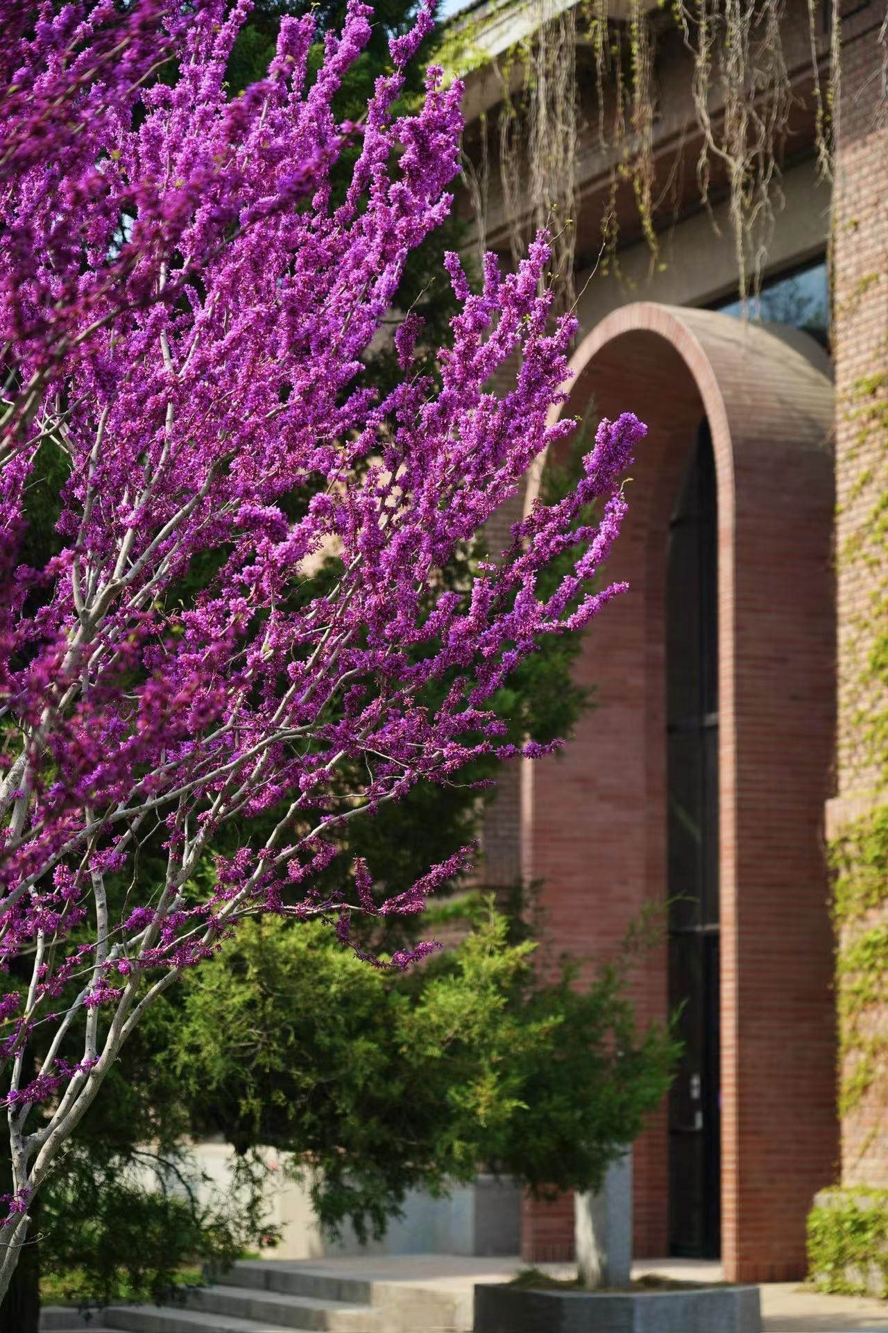 另类小说一区打破传统界限，引领阅读新风尚，探索未知故事领域，开启全新文学体验之旅