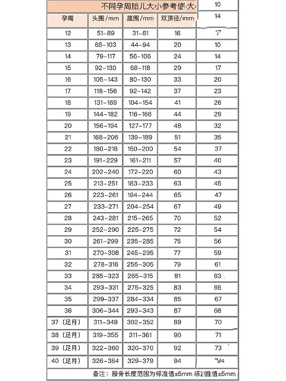 双顶径,头围,腹围,股骨长
