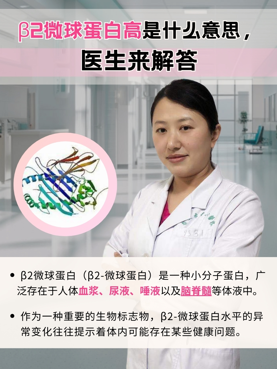那么,β2微球蛋白高到底是什么意思呢?