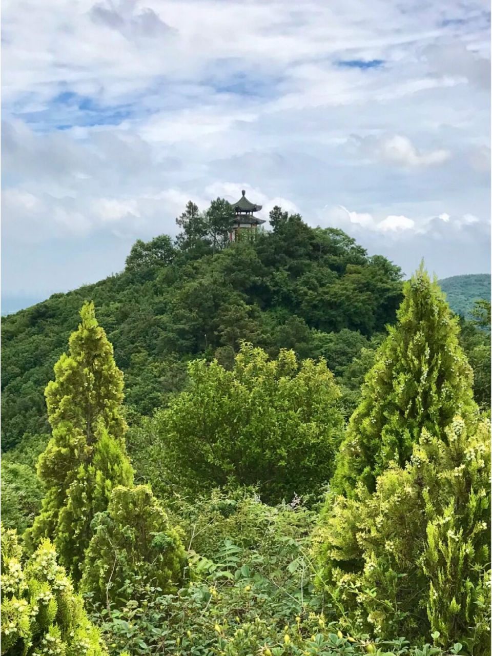 武汉龙泉山徒步和摘野果 03活动内容:(以实际为准) 76主要沿着