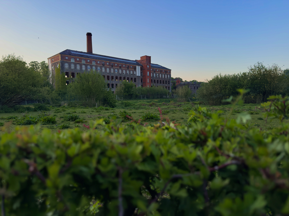 辽宁农业职业技术学院环境怎么样？2022年校园环境全面升级