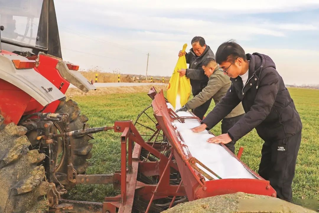 农业农村部部署开展全国春季农作物种子市场检查
