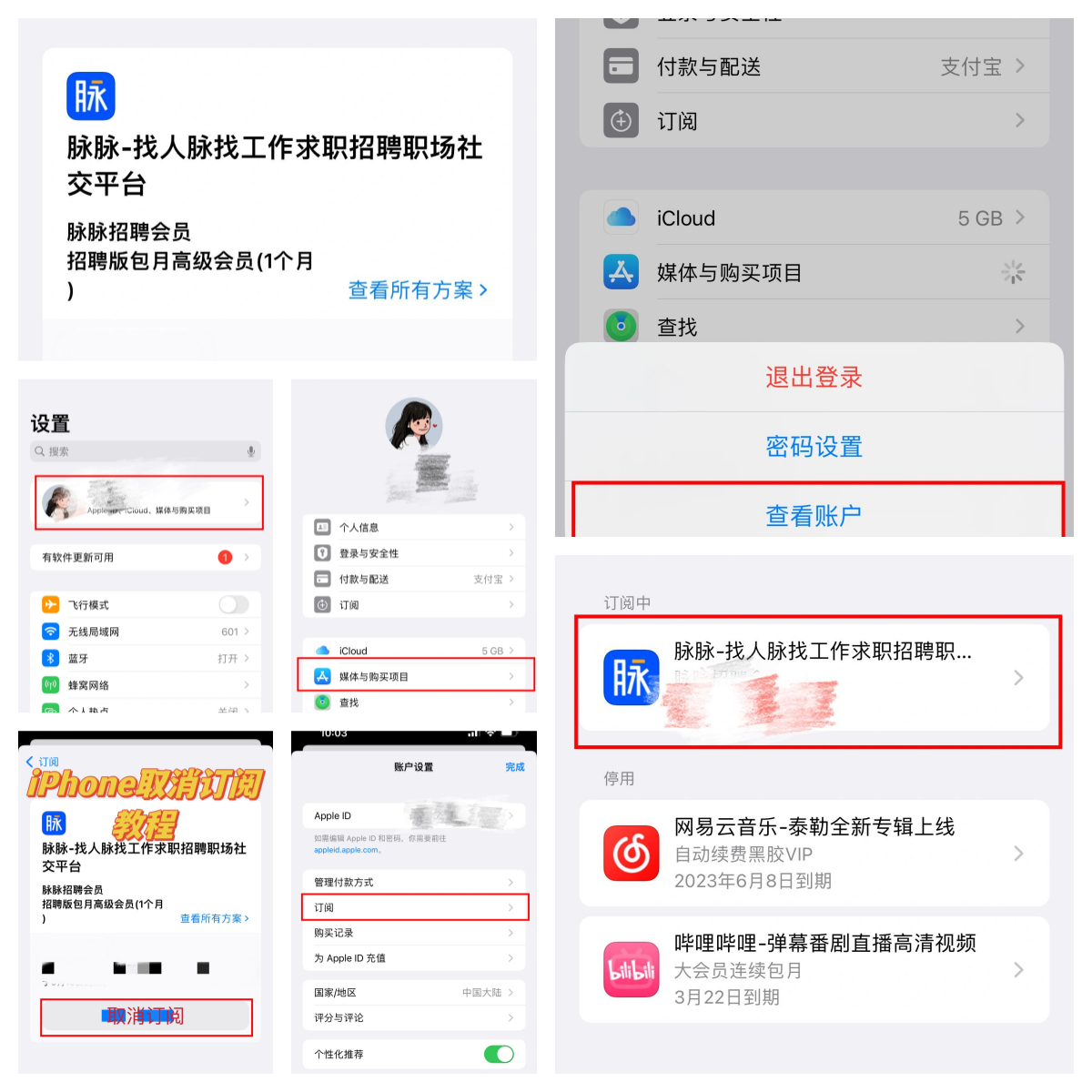 苹果媒体与购买项目怎么开