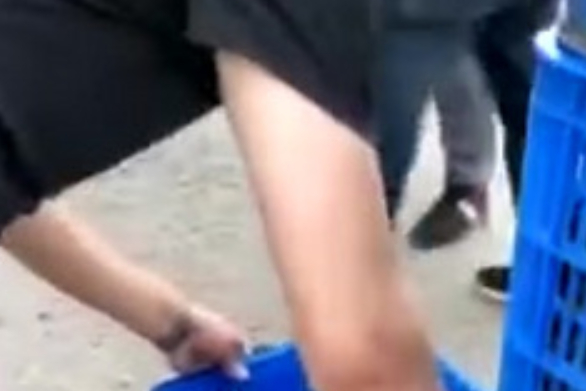 小龙虾保护组织真的存在嘛?司机金师傅说,“小孩说是梦见小龙虾救他,他要来救小龙虾”,不过司