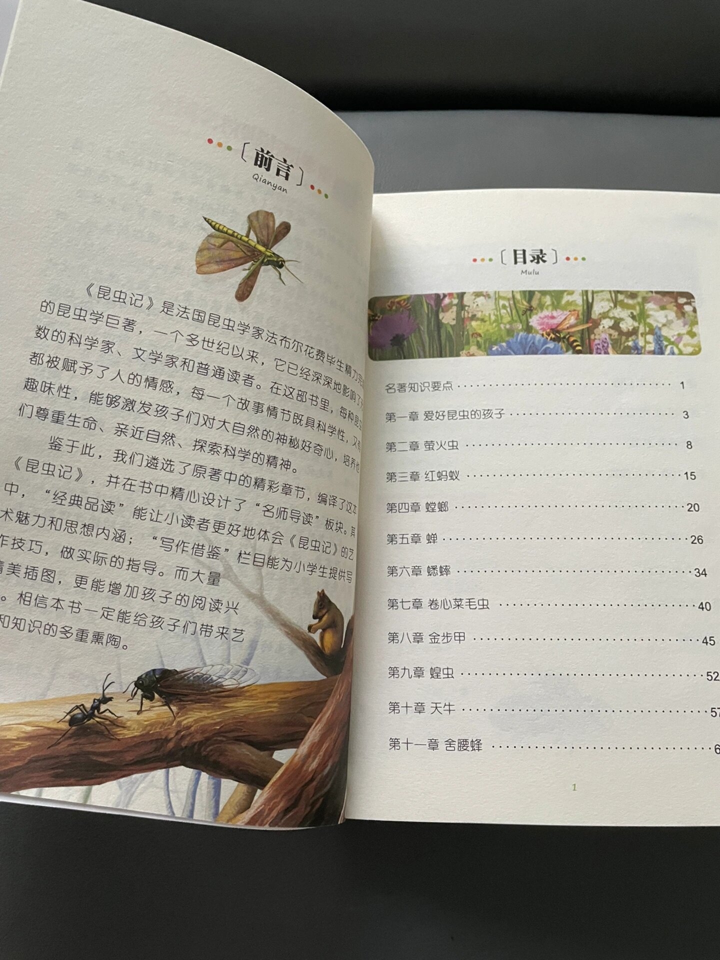 童书推荐《昆虫记》