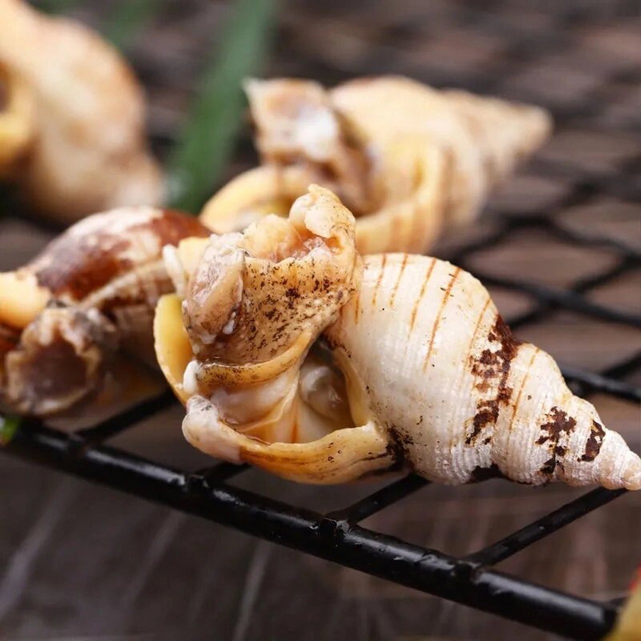 鲜活新鲜的红枣螺 今年第一次吃红枣螺,怎么说呢,个头比海锥要大,吃