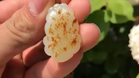 红金鱼!精致![嘻嘻][嘻嘻][嘻嘻][嘻嘻]