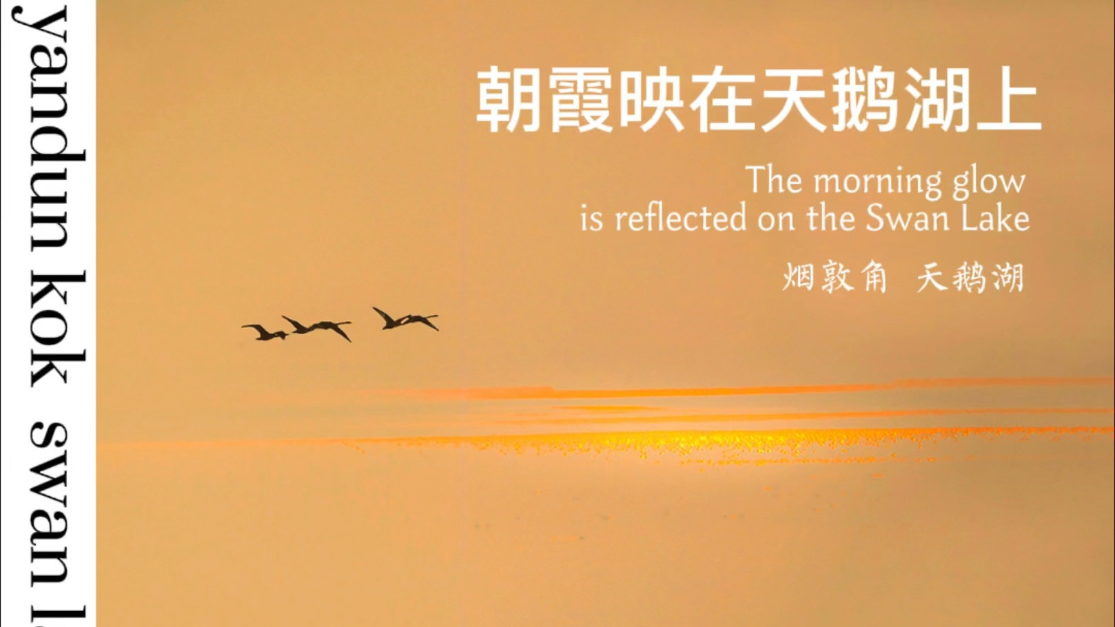 朝霞映在天鹅湖上 #/?id=7s8ntzv&type=6 美篇app制作,音乐图片