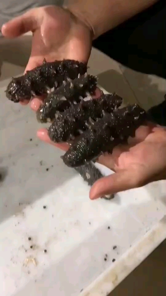 中国~长岛,有32个岛屿,位于渤海深处,远离大陆污染源,岛上亦无污染工业,被列为国家级自然