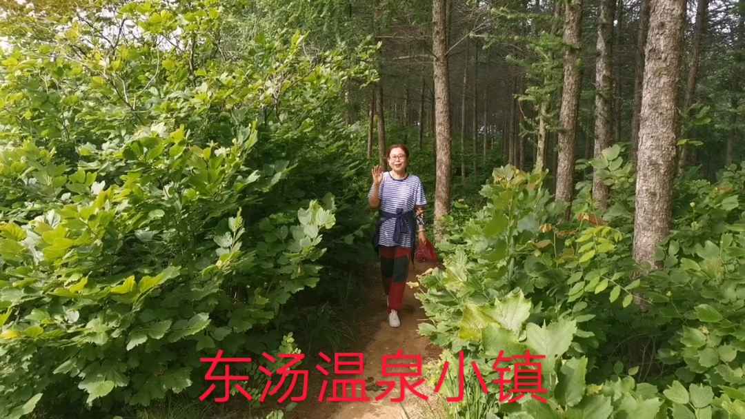 丹东凤城东汤温泉小镇