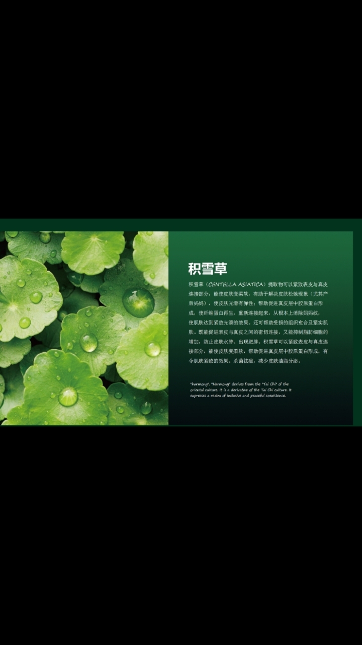 积雪草的功效与作用——清热利湿、解毒消肿          1、积雪草对人体的中枢神经系统