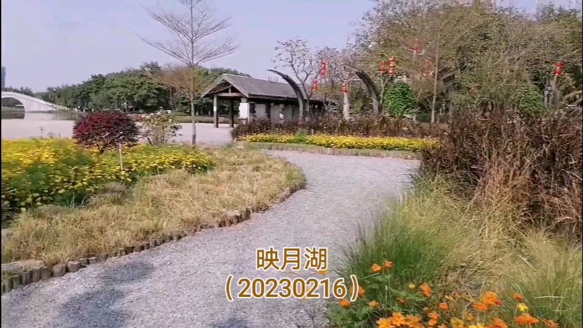 春游映月湖 [gf]2618[/gf][gf]fe0f[/gf]映月湖位于广佛都市圈核心区