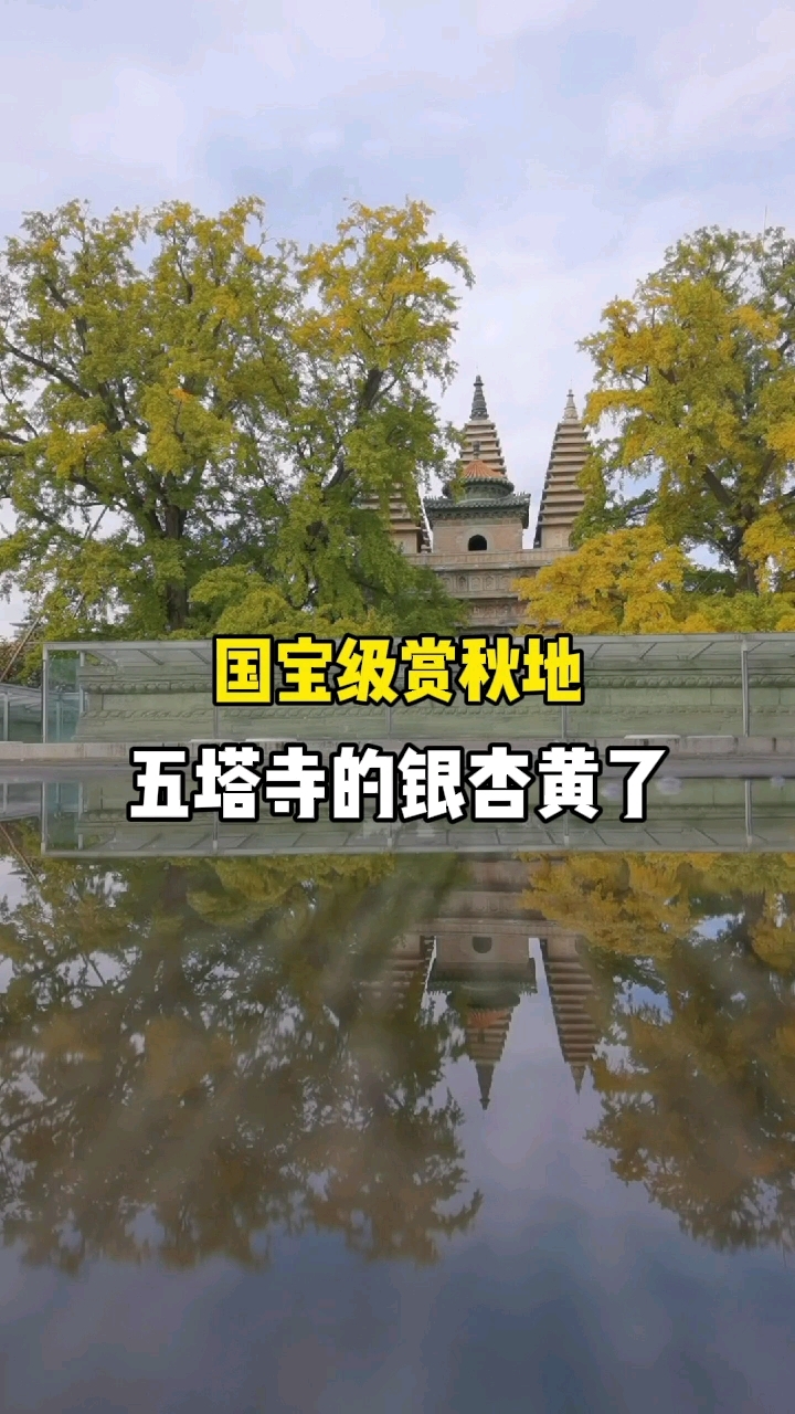 北京异域风情赏秋地,连梁思成、林徽因都爱 #城市生活家# 可别只知道去北京香山赏红叶了,北