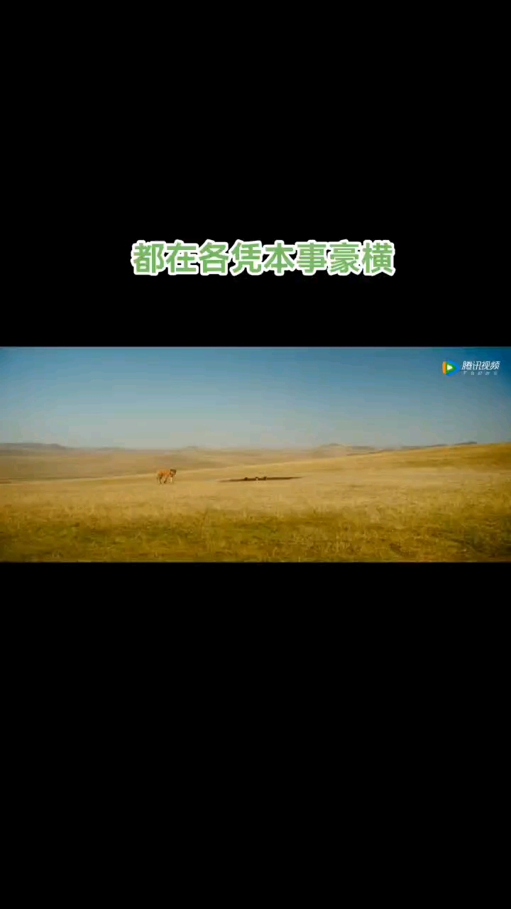 葛优的幽默,岳云鹏的表情包,有的看啦