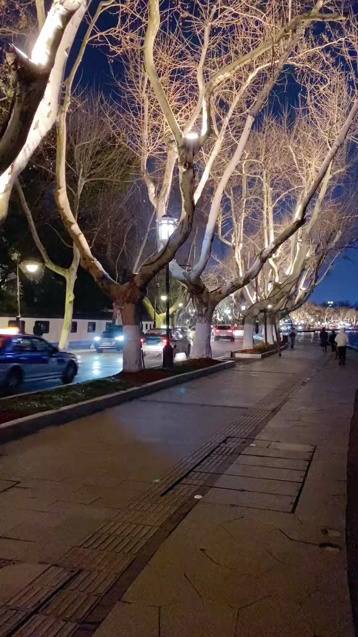 杭州西湖夜景。去放松放松心情