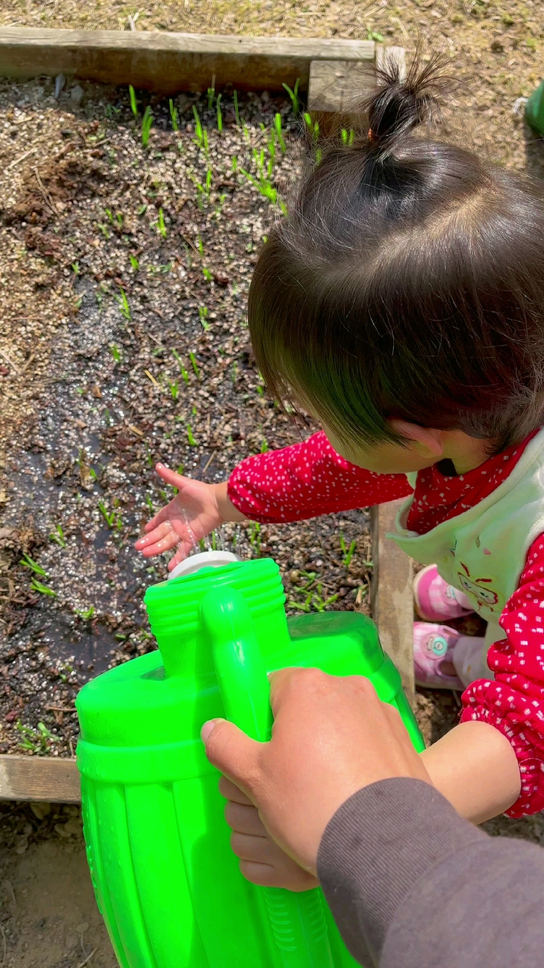 小朋友的山居生活开启啦! 小小鱼快两岁了,和当年小木鱼差不多,现在每周3-4天时间,在山里