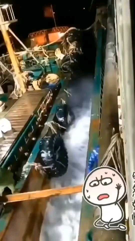 海鲜为什么那么贵