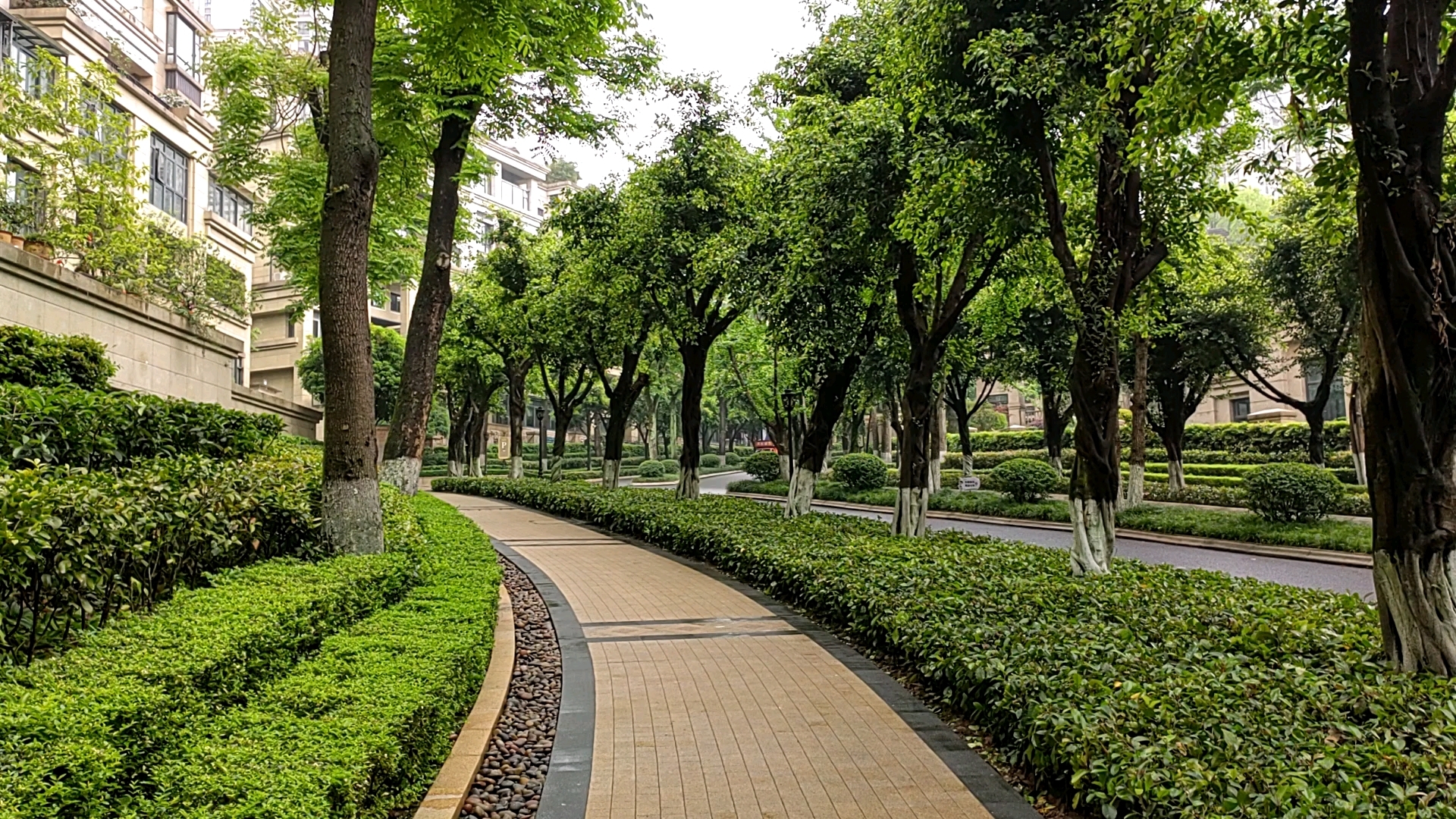 　春天,中渝山顶道国宾城行道旁雅蓉枝叶繁茂,树叶茂密,鸟语花香,绿化率35%,该小区北依新
