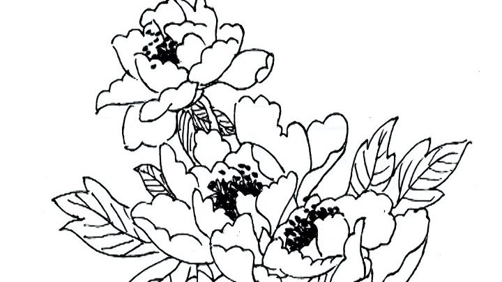 奥利给???? 有空画了一幅牡丹花线描画[加油][中国], 不知道有没有人转发评论了@百度百家号