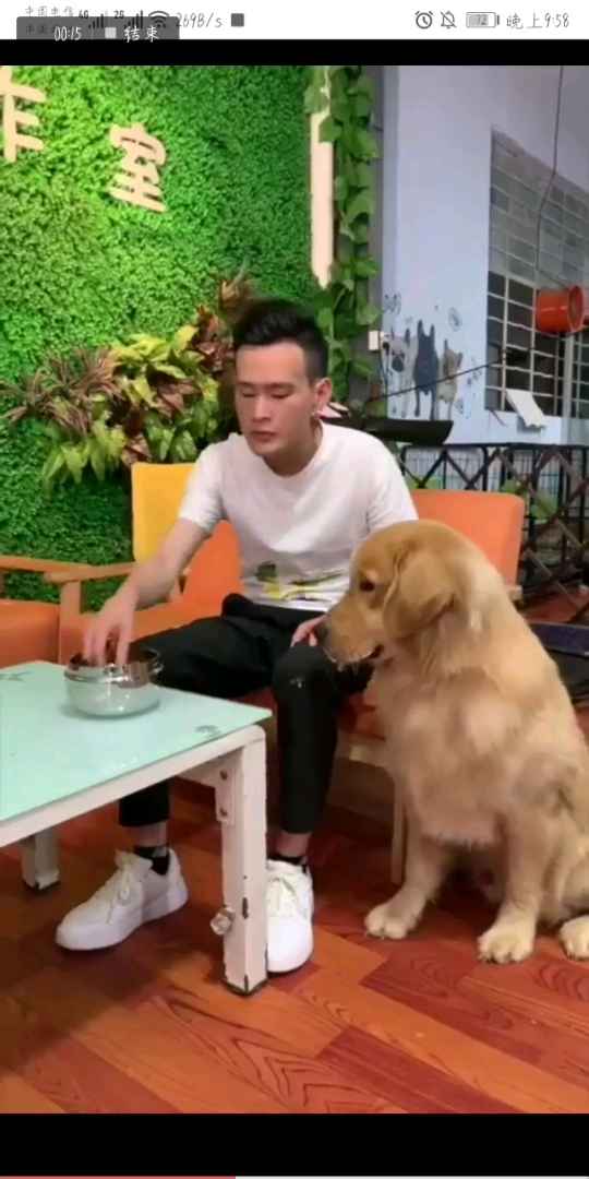 二哈肉怎么吃比较好?