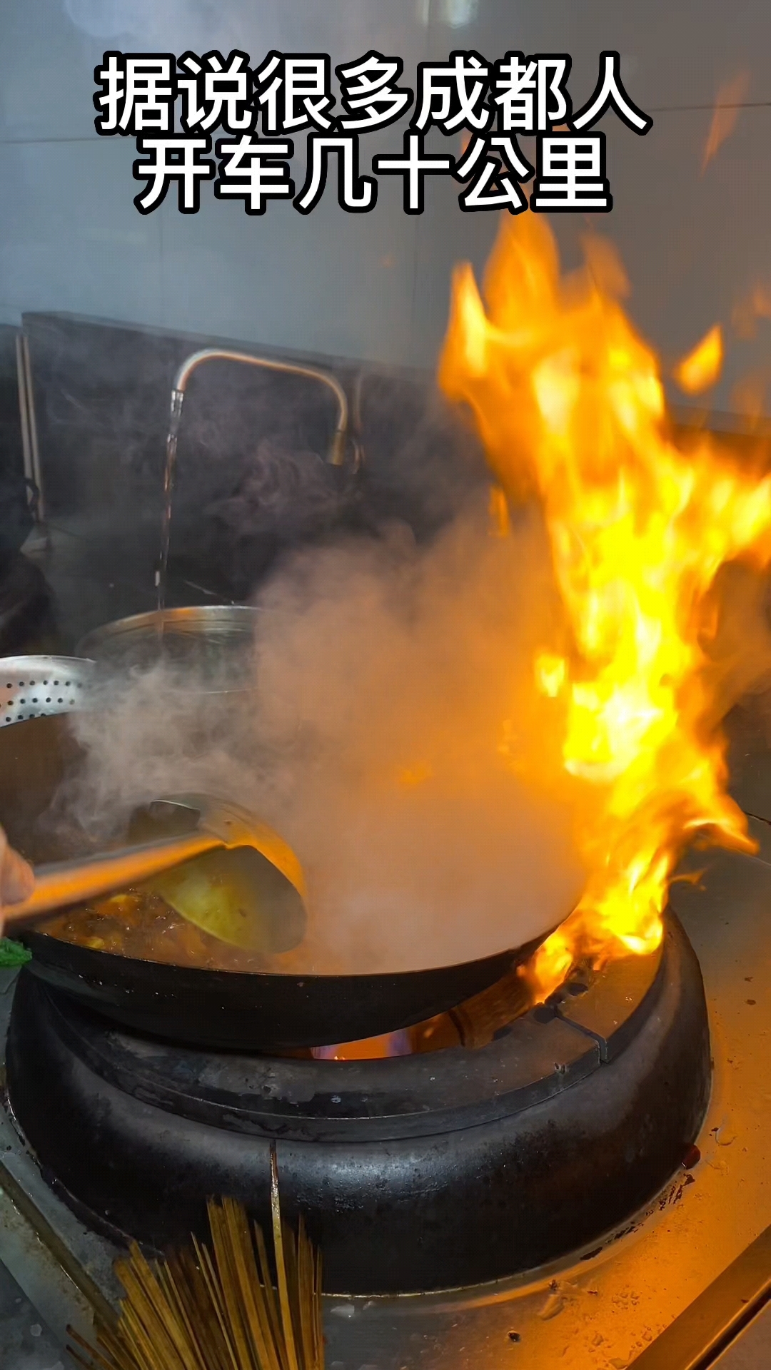 很多成都人开车几十公里 就是为了吃一口 歌歌肴 铁锅 醉鹅 她家的鹅都是来自深山老林 喝泉