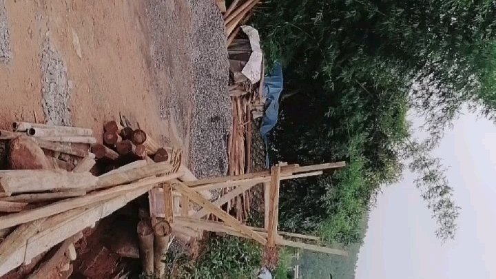 连续三天下雨,第一层的养护全由老天爷代劳了。