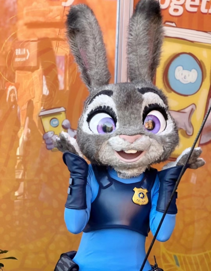 《疯狂动物城》中,机智勇敢的小兔子朱迪让我深刻体会到了梦想的力量.