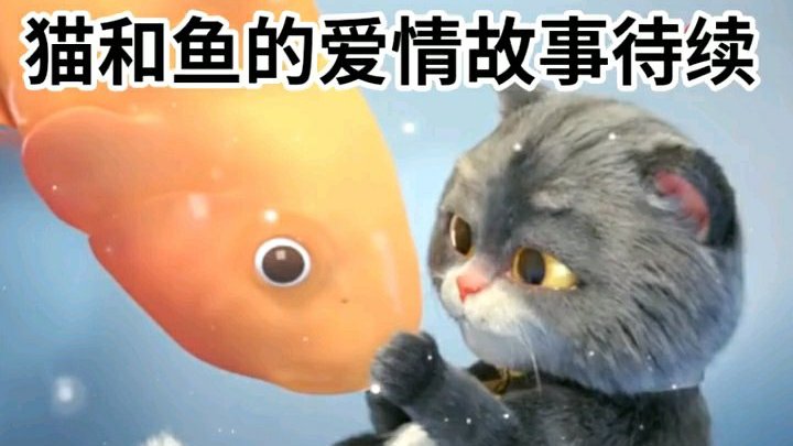  猫和鱼的爱情故事 #情感每日打卡# 