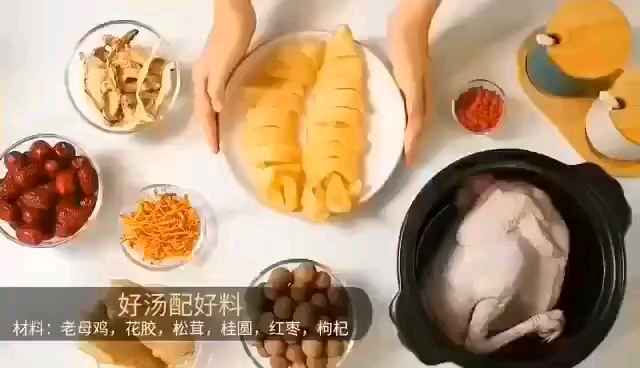  分享个养生汤-『松茸鱼胶炖鸡』