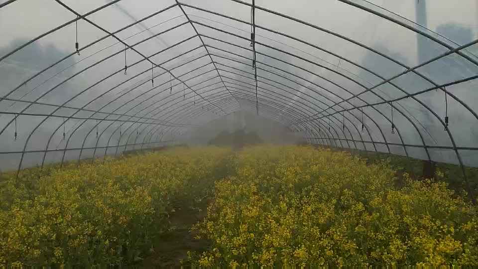        传统滴灌的大棚,一次灌水量大,不但棚温、地温降低太快,回升较慢,且蒸发量加大