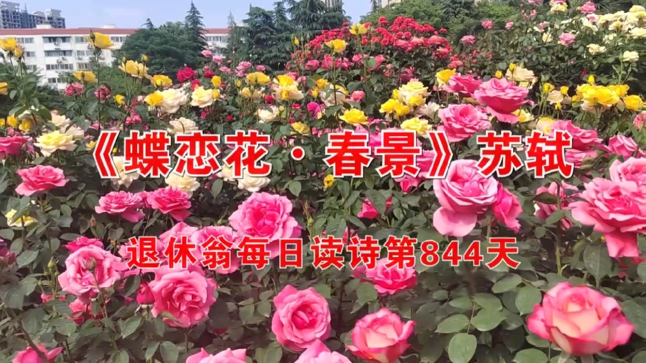 《蝶恋花•春景》宋 苏轼 朗诵:克敏 每日读诗第844天