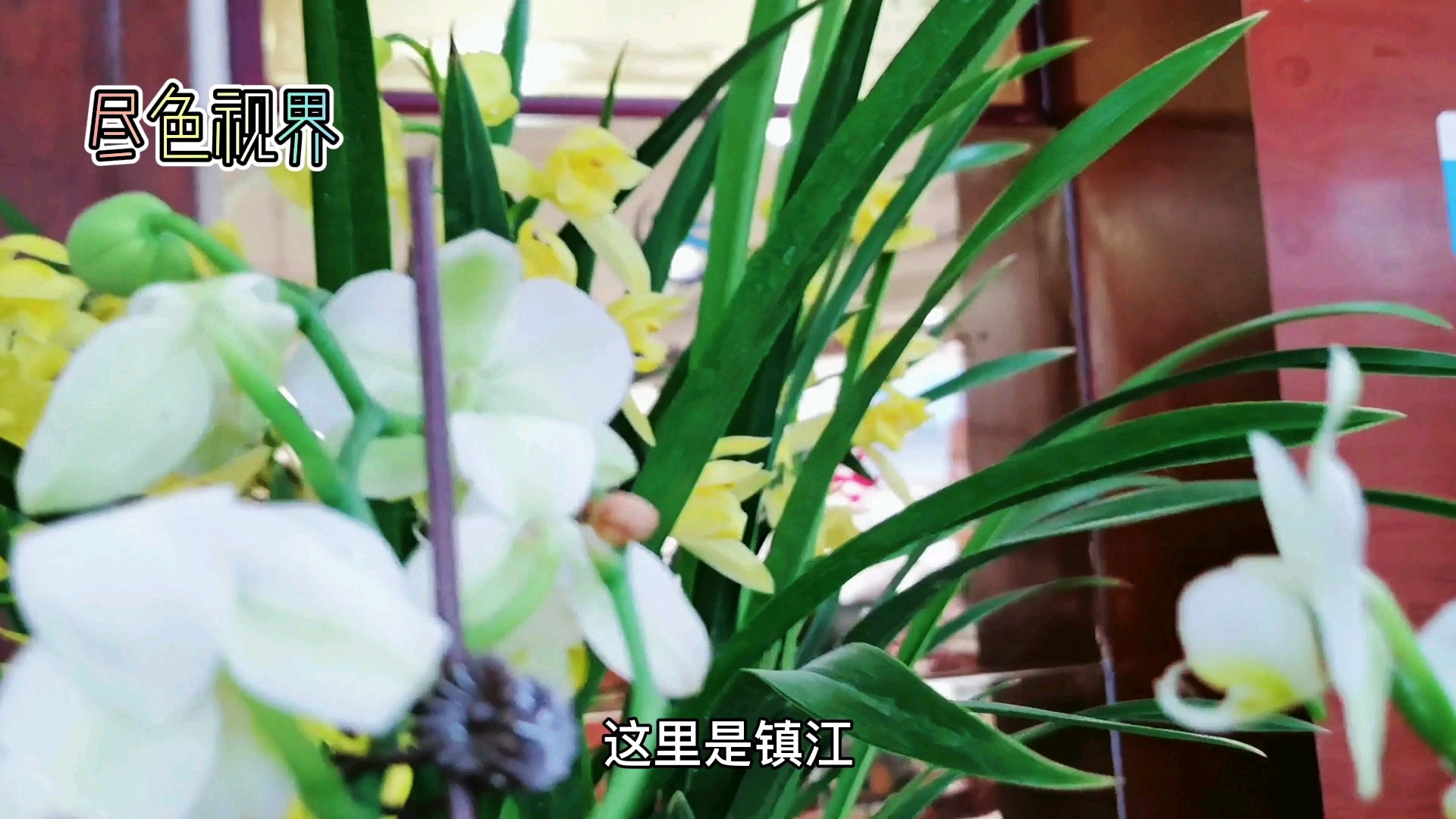 镇江宝堰镇:冬季至尊宝——全牛席开席啦,什么菜让女人掩嘴笑,男人心直跳?什么菜满满的胶原蛋
