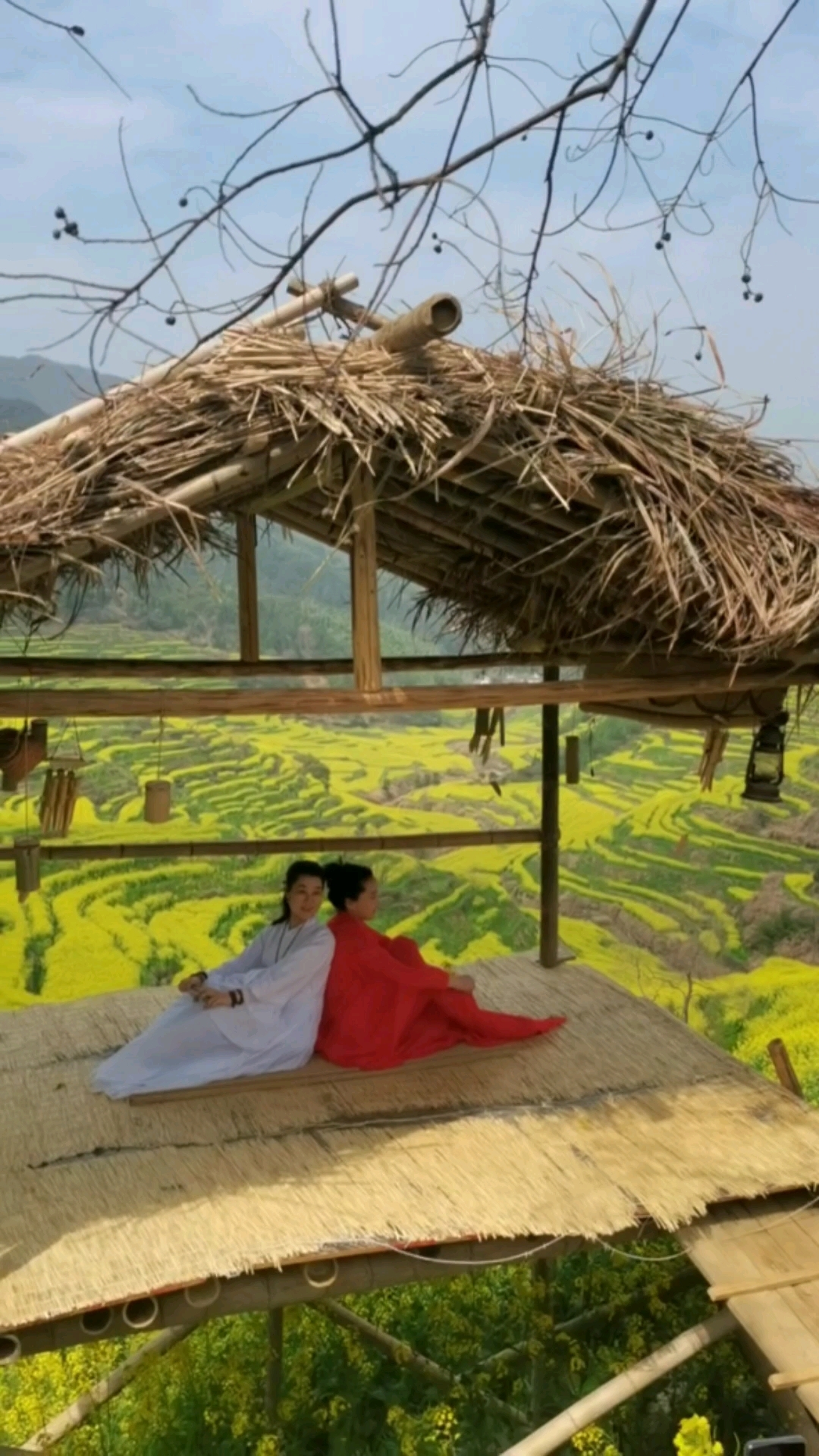 春天是花的季节,想花、盼花、探花、赏花,是每个春天都必不可少的娱乐,等不及北方的春风温暖花