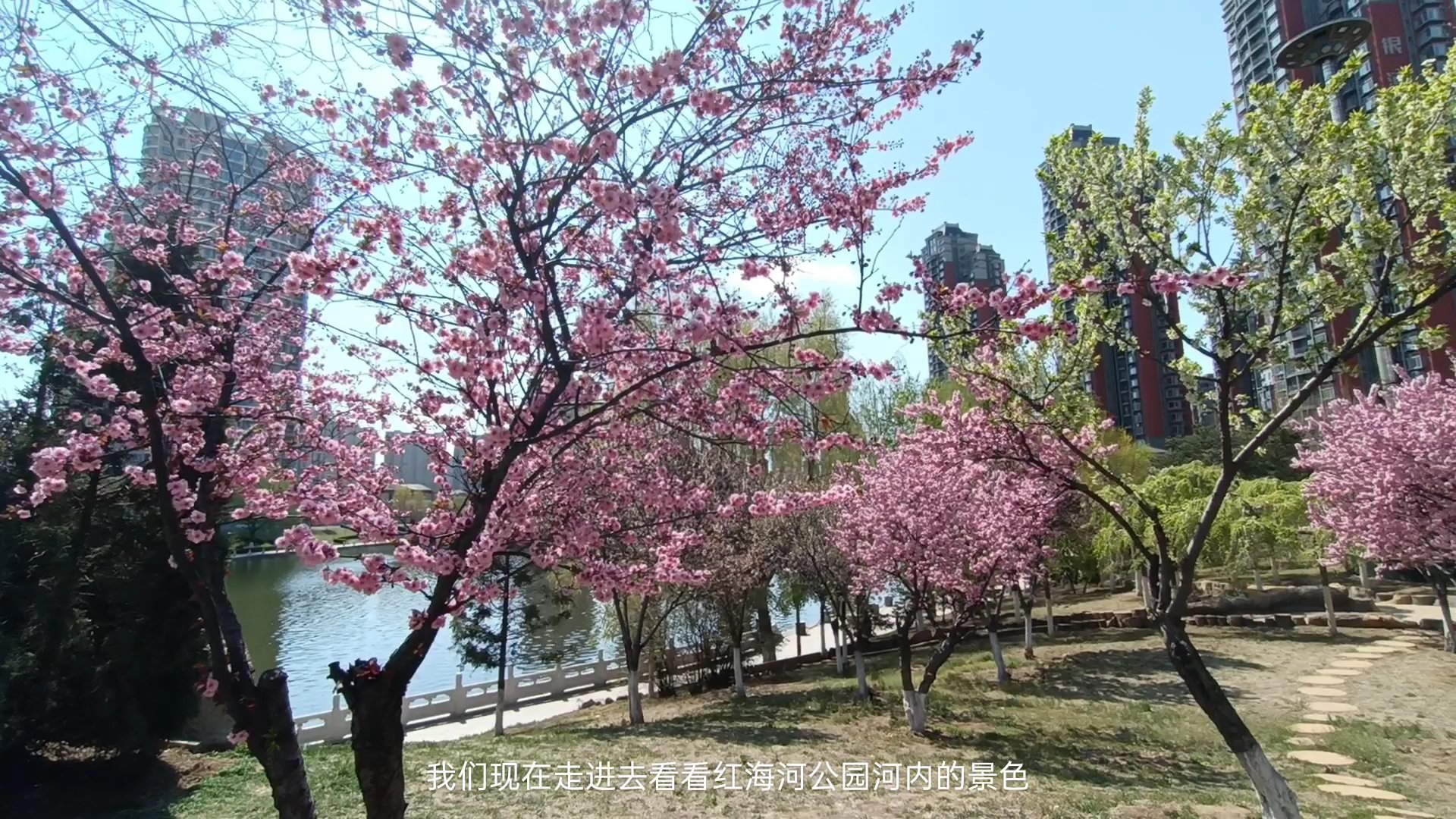 鲅鱼圈美丽的红海河南岸,水岸尚品小区!