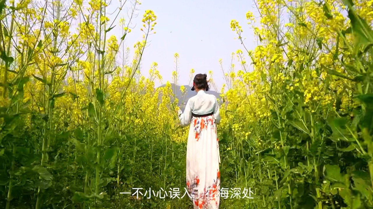 人间步过春光,方知四处花香 兴文的春天,没有方向,只顾开花 山峦叠翠,芳菲尽染,这漫山遍野