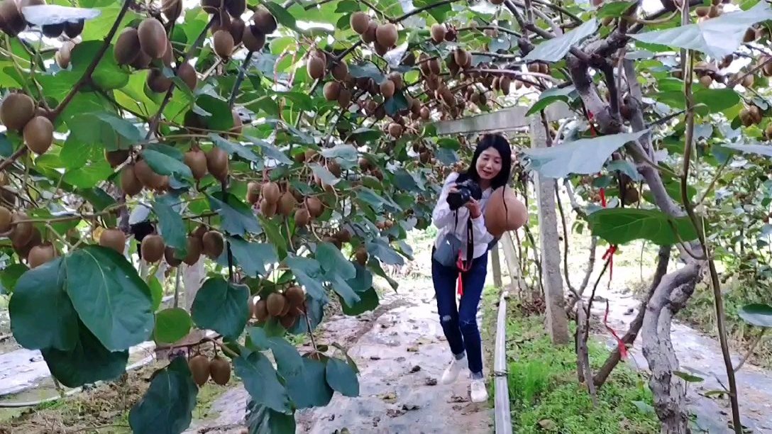 生在美丽周至 是一种幸福 有好山好水好故事 热爱家乡 是一种情怀 宣传家乡 是一种责任 小
