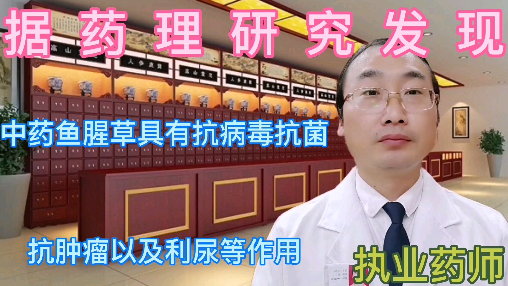 据药理研究发现,中药鱼腥草具有抗病毒,抗菌抗肿瘤等作用