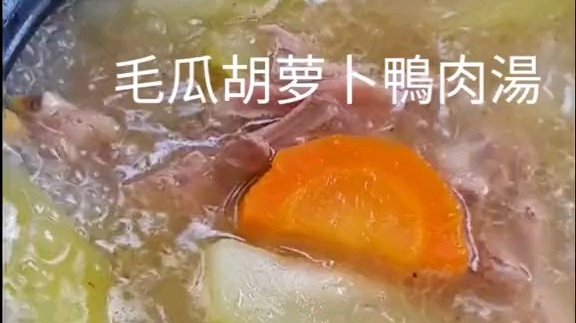 #美味食谱# 胡萝卜鸭肉汤