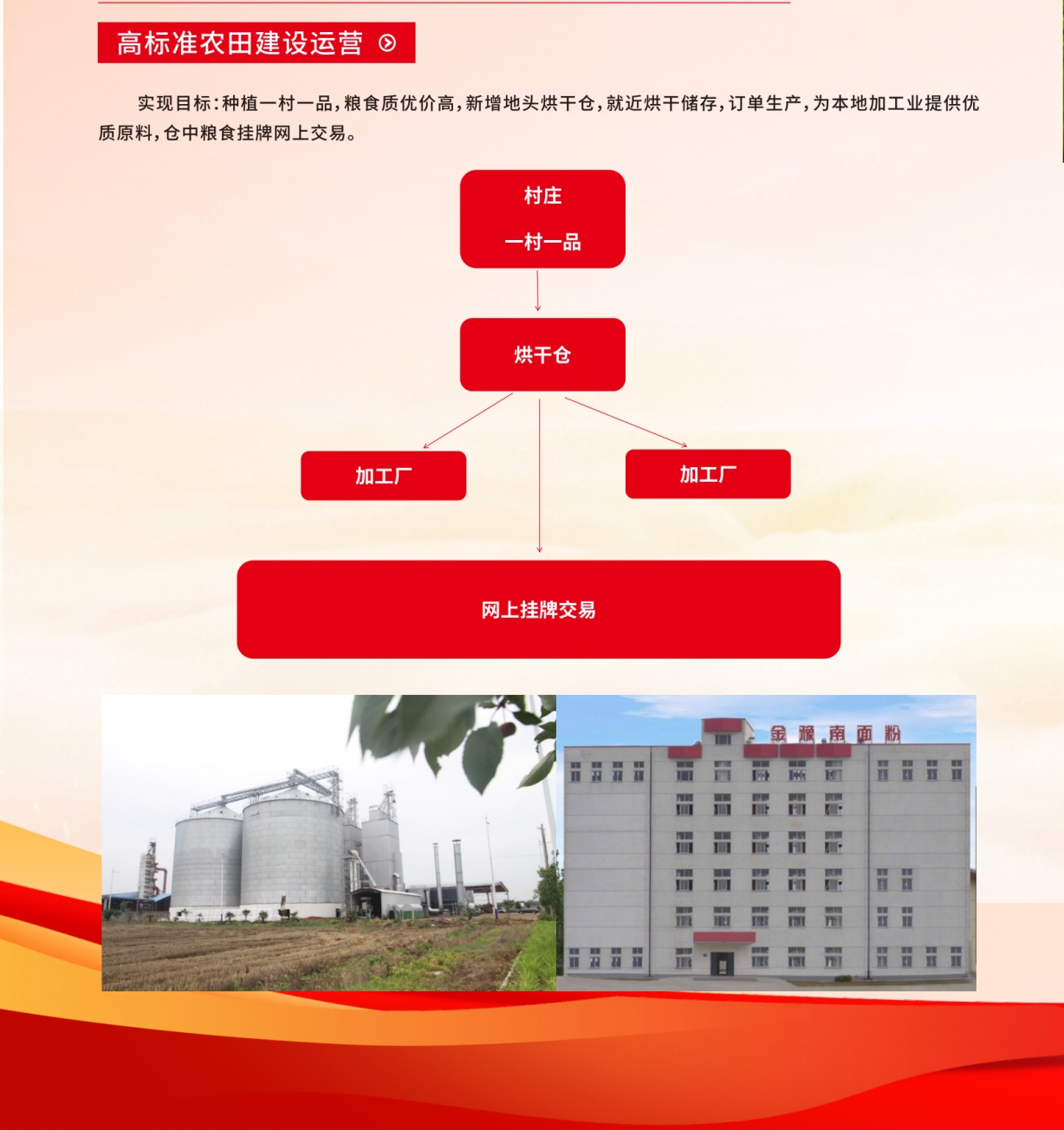 我国国家级种业基地供种保障率达到80%