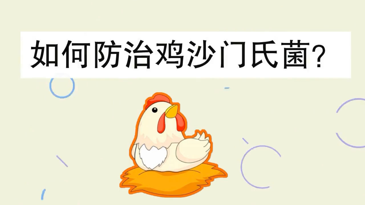鸡禽沙门氏菌怎么治?怎么预防治疗鸡沙门氏菌?中药防治鸡沙门氏菌;