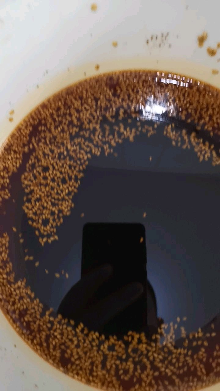 烤面筋是小吃中比较受欢迎的小吃项目,大部分是红油酱料还有刷酱的,操作简单,利润可观,尤其在