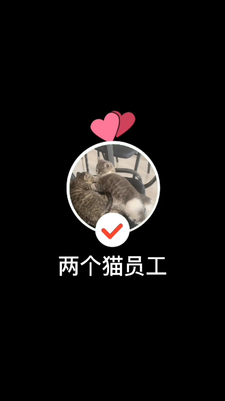 #猫咪# 看家本领,定叫你俯首称臣! 好物名称:小足印喵喵罐  购买价格:5罐/39.9元