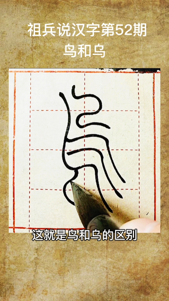 #中华传统文化# 祖兵说汉字第52期,今天我们来解析一下鸟字和乌字。从字形上看,这两个字只