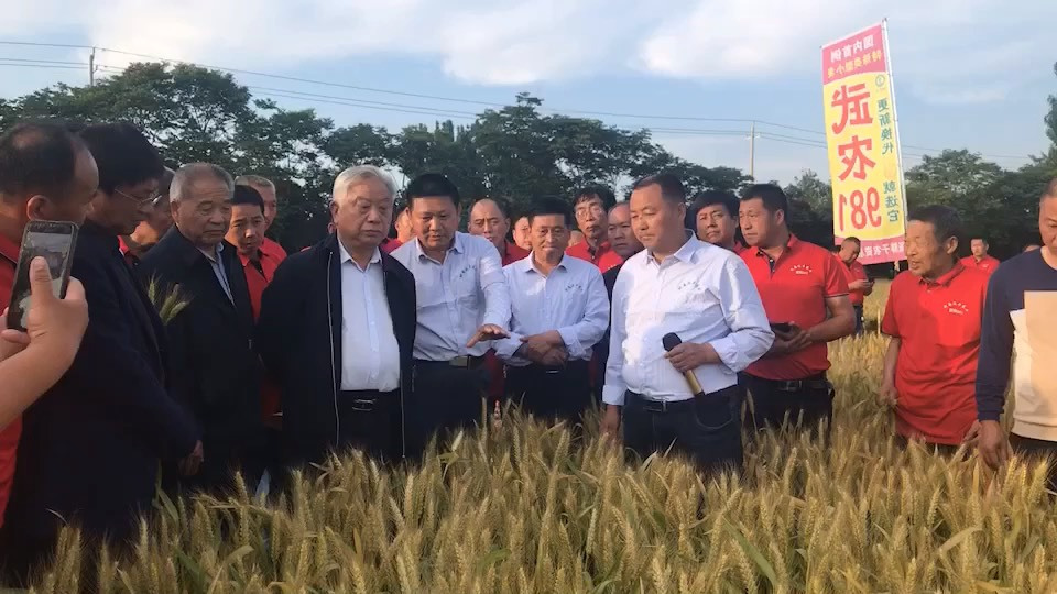 又见小满 文/王如成 五月里的布谷唱 一唱就把麦唱黄 滚滚麦浪 推笑爷爷喜悦的脸膛 爷爷哼